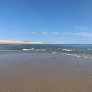 Meet your Posher, Heidi